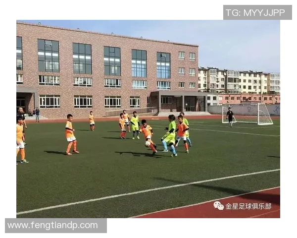 《球场之星：足球与梦想的完美碰撞》