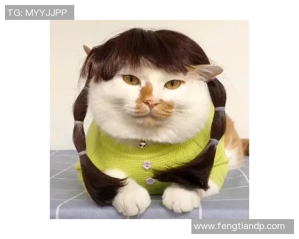 抖音头像大热足球球星集合 精彩瞬间定格成最炫头像风潮